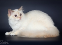 EE Ally Ly Khaleesi SBIj 2013